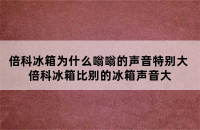 倍科冰箱为什么嗡嗡的声音特别大 倍科冰箱比别的冰箱声音大